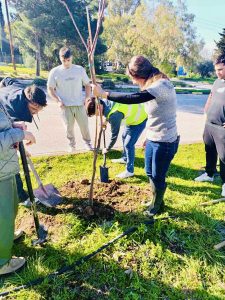 Πανεπιστήμιο Πατρών: Περιβαλλοντική Εκστρατεία Δενδροφύτευσης & Εθελοντικής Δωρεάς Αίματος – Μια Συνεργασία για το Περιβάλλον και τη Ζωή!
