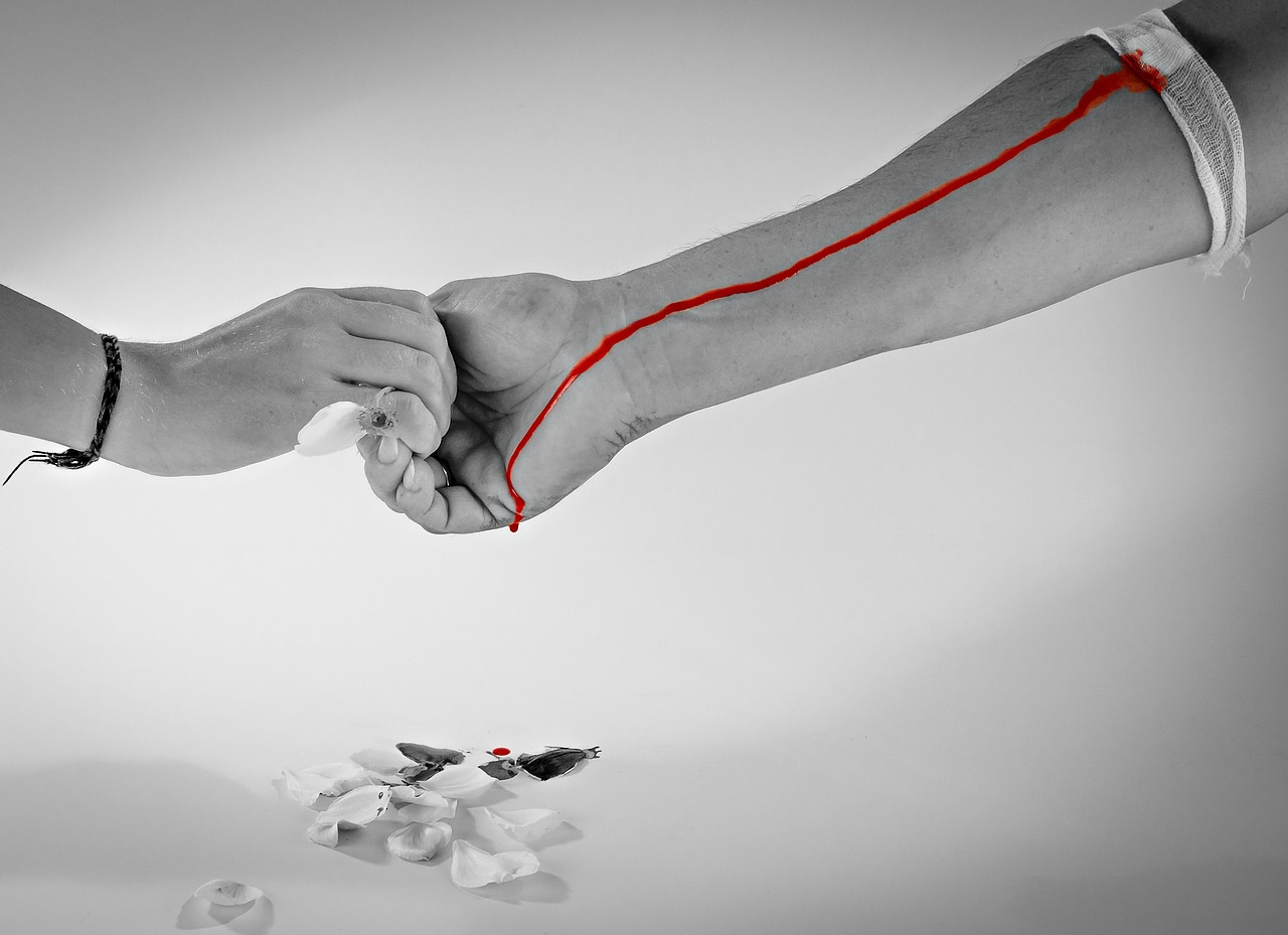 Διοργάνωση δράσης αιμοδοσίας από τη φοιτητική ομάδα εθελοντικής αιμοδοσίας του Πανεπιστημίου Πατρών «Φλέβα Ζωής» σε συνεργασία με τη φοιτητική ομάδα Patras Medicine iGEM | 12.03.2026 | 10:00-13:00