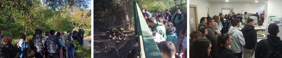 Εφαρμοσμένη Ανθοκομία & Αξιοποίηση Φυτικής Βιοποικιλότητας στον Βοτανικό Κήπο «Ζέλιος Γη»